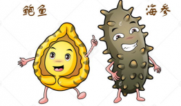 鲍鱼漫画网,带你领略幽默与智慧的海洋世界